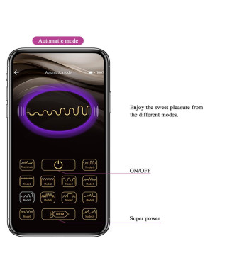 PRETTY LOVE - Baird 12 vibration functions Mobile APP Long-distance Control