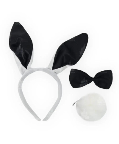 Kinky Pleasure - Bunny Tiara Bunny Tail