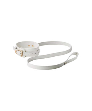 BLAZE ELITE COLLAR AND LEASH WHITE