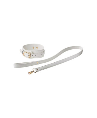 BLAZE ELITE COLLAR AND LEASH WHITE