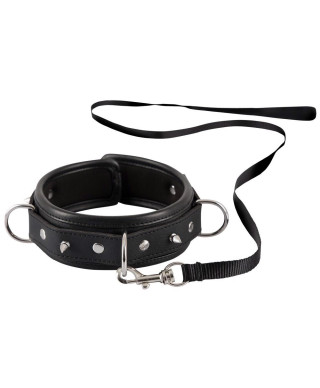 Collar Leash