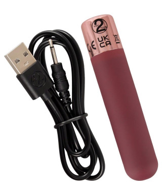 Bullet rechargeable