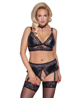 Bra and Suspender Briefs XL