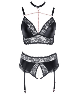 Bra and Suspender Briefs XL