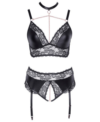 Bra and Suspender Briefs XL