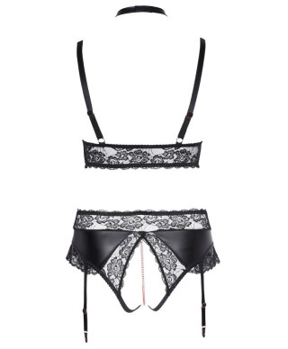 Bra and Suspender Briefs XL