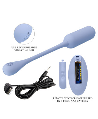 PRETTY LOVE - LECHIES Dream chaser 5 Blue Wireless remote control 12 vibration functions Memory function