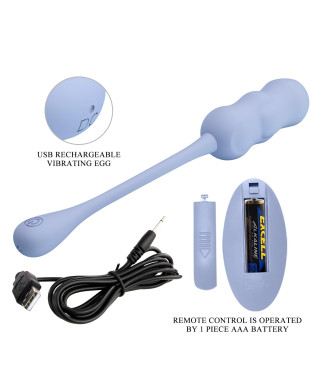 PRETTY LOVE - LESHY Dream Chaser 4 Blue 12 vibration functions Wireless remote control