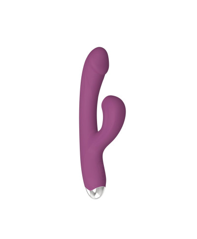 Dual rabbit vibrator