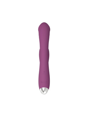 Dual rabbit vibrator