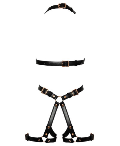 Bad Kitty Harness SM rose