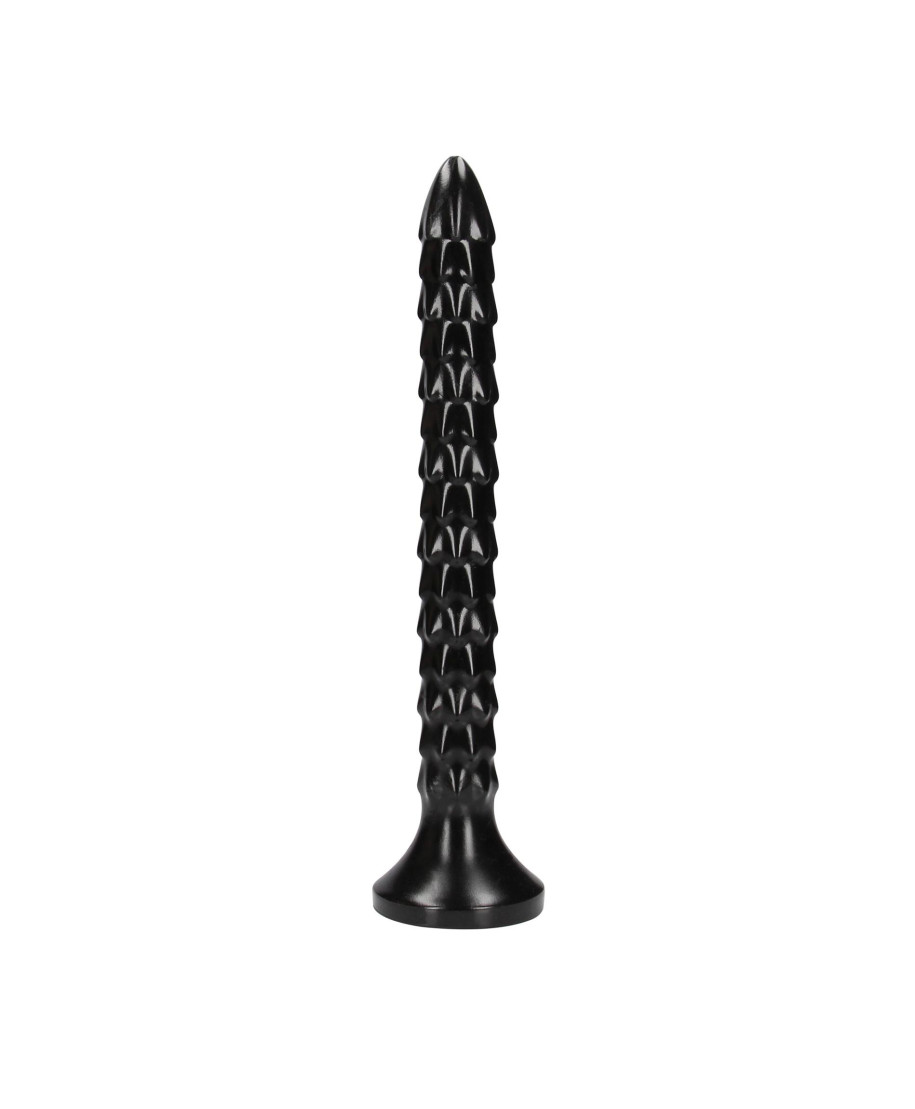 Scaled Anal Snake - 12 30 cm