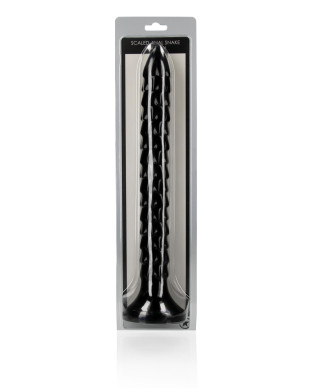 Scaled Anal Snake - 12 30 cm