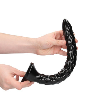 Scaled Anal Snake - 12 30 cm