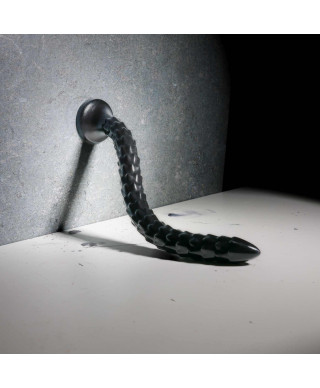 Scaled Anal Snake - 12 30 cm