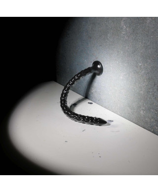 Scaled Anal Snake - 12 30 cm