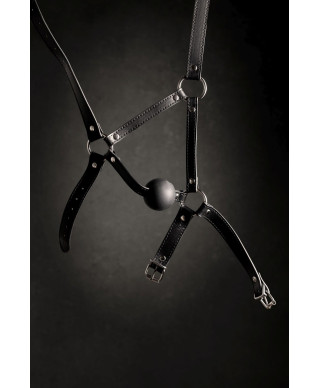 Head Harness with Solid Ball Gag - Black