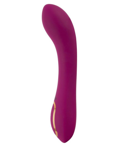 Javida Inflatable Vibrator