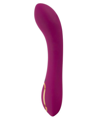 Javida Inflatable Vibrator