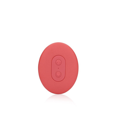 Panty Vibrator with Remote Control