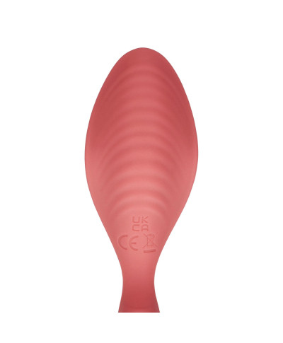 Panty Vibrator with Remote Control