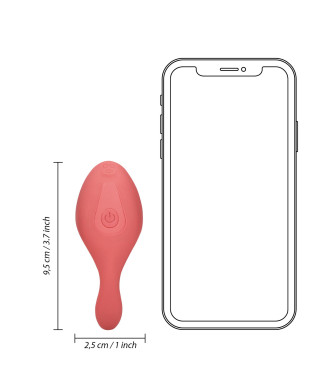 Panty Vibrator with Remote Control