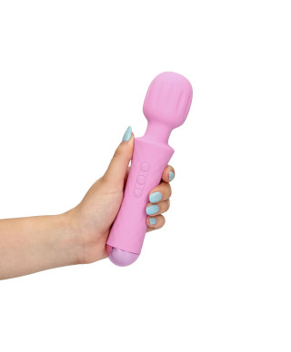 Small Wand Vibrator