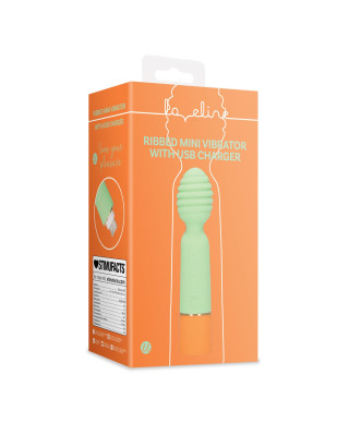 Ribbed Mini Vibrator with USB Charger