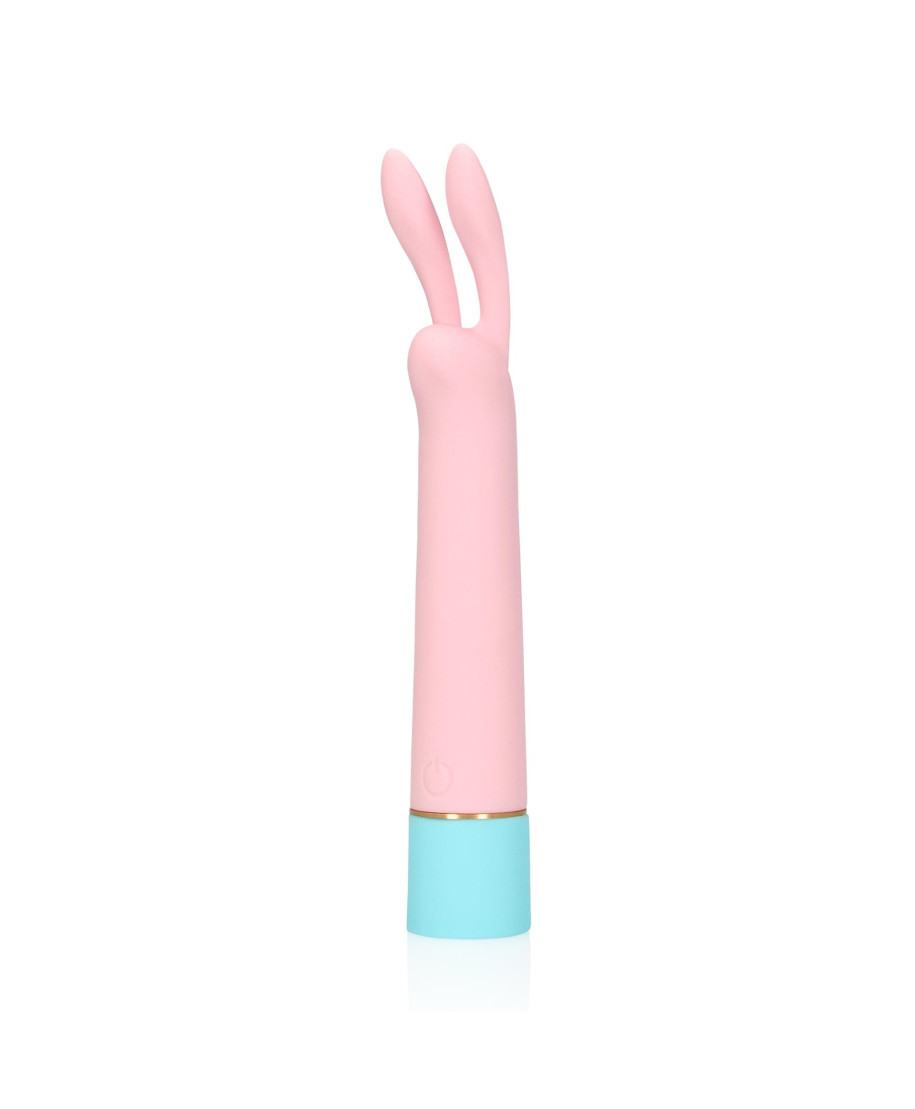 Mini Rabbit Vibrator with USB Charger