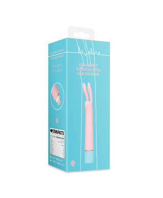 Mini Rabbit Vibrator with USB Charger