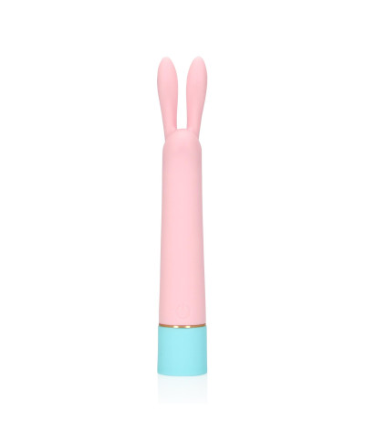 Mini Rabbit Vibrator with USB Charger