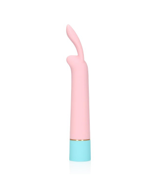 Mini Rabbit Vibrator with USB Charger