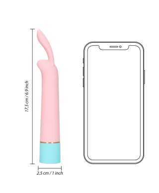 Mini Rabbit Vibrator with USB Charger