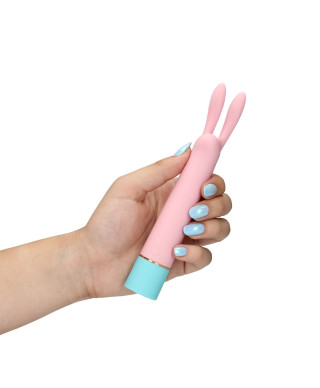 Mini Rabbit Vibrator with USB Charger