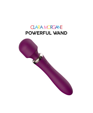 Powerful Wand Bordeaux - USB