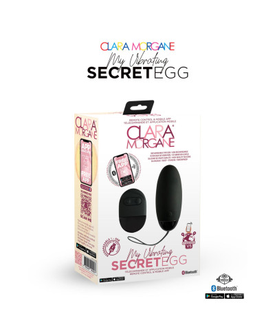 My Vibrating Secret EGG Black - App controlled