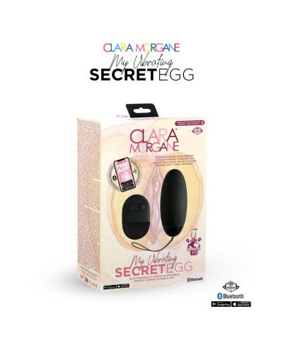 My Vibrating Secret EGG Black - App controlled