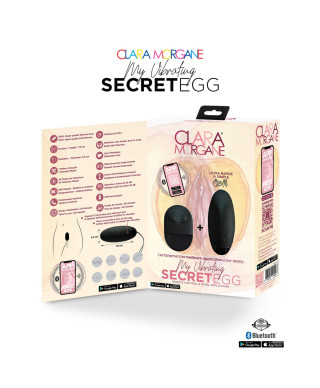 My Vibrating Secret EGG Black - App controlled