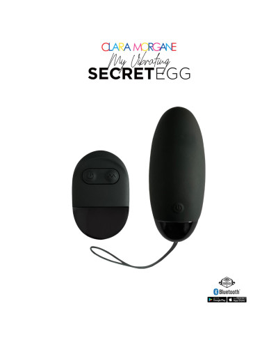 My Vibrating Secret EGG Black - App controlled