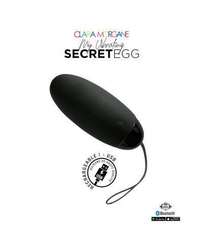 My Vibrating Secret EGG Black - App controlled