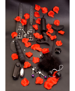 Zestaw-AMAZING PLEASURE SEX TOY KIT