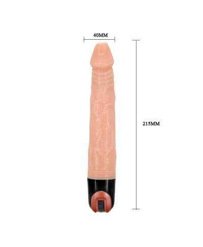 BAILE - Vibrator MULTI- SPEED