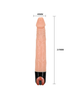 BAILE - Vibrator MULTI- SPEED