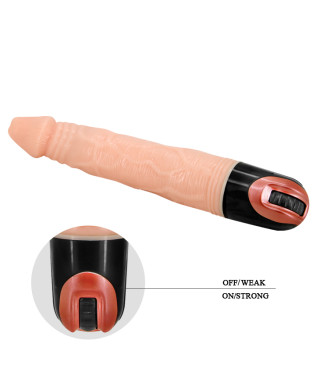 BAILE - Vibrator MULTI- SPEED