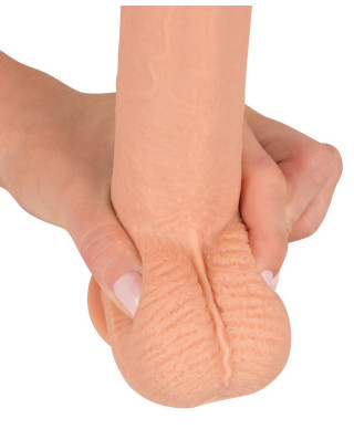 Prawdziwy penis żyły jądra główka naturlany 21cm