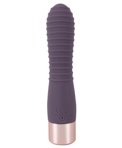 Elegant Vibrator Flexy Vibe