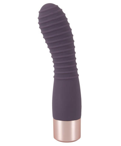 Elegant Vibrator Flexy Vibe