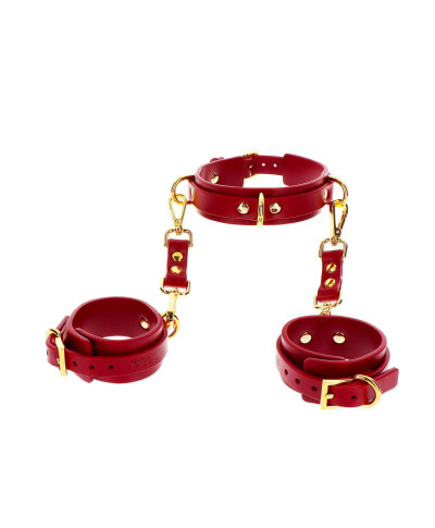 D-Ring Collar and Wrist Cuffs