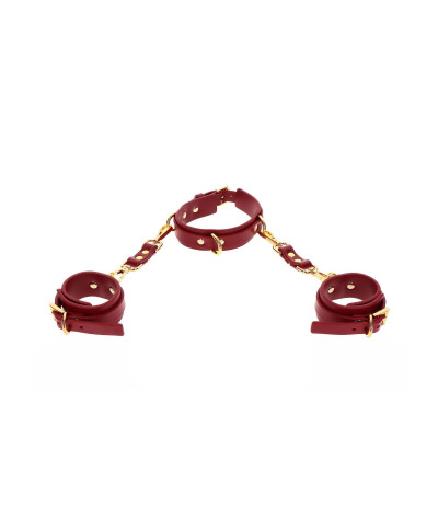 D-Ring Collar and Wrist Cuffs