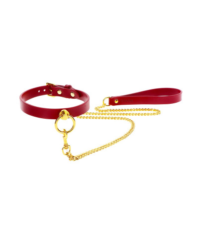 O-Ring Collar and Chain Leash